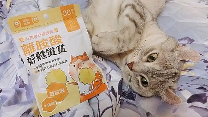 Can Cats Get Enough Lysine from Their Diet