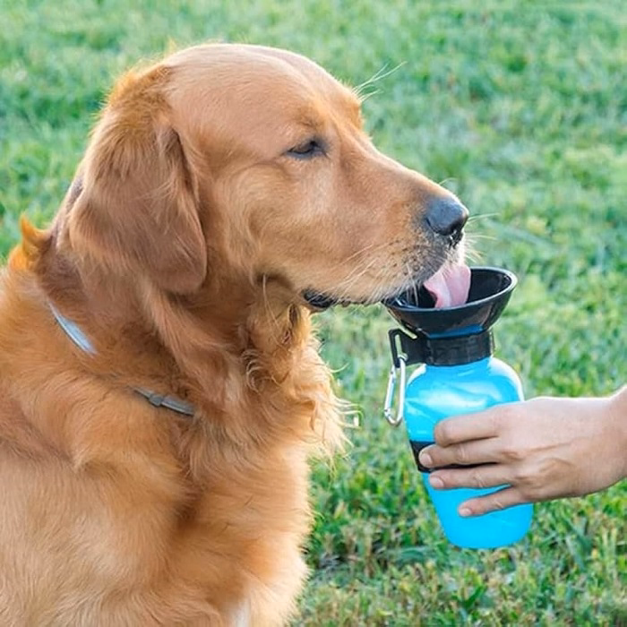 How Should You Select a Pet Water Bottle