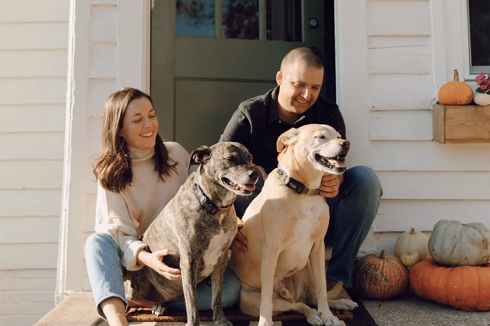 What Makes Knoxville Craigslist Pets So Popular