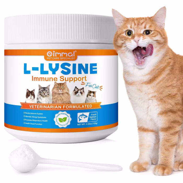 What is Lysine e1739338739939