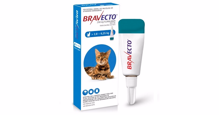 Read more about the article Bravecto for Cats: Full Guide to Flea and Tick Protection