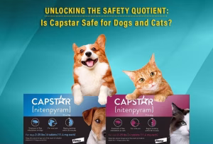 Read more about the article Capstar for Cats: Fast-Acting Flea Treatment Explained