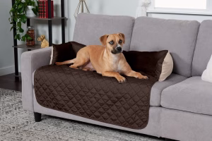 Read more about the article The Ultimate Guide to Furniture Covers for Pets: How to Protect Your Home and Keep Your Pets Comfortable