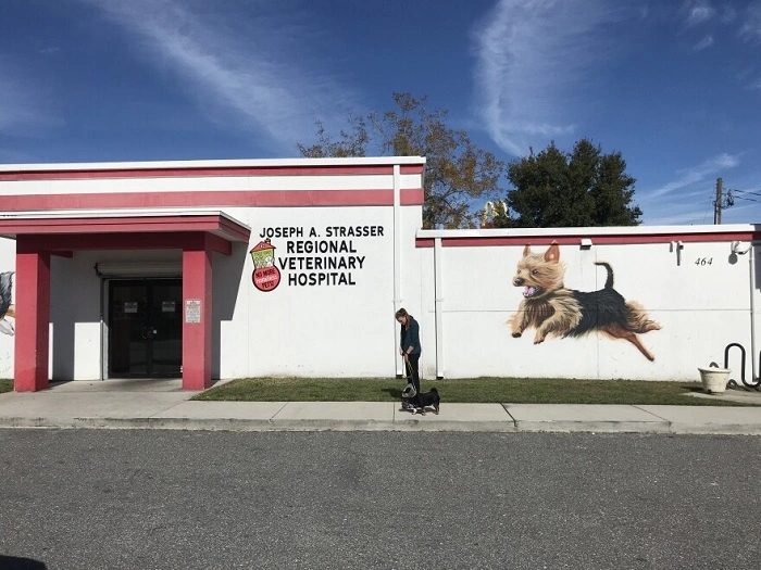 no more homeless pets1