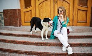 Read more about the article Pets on the Catwalk
