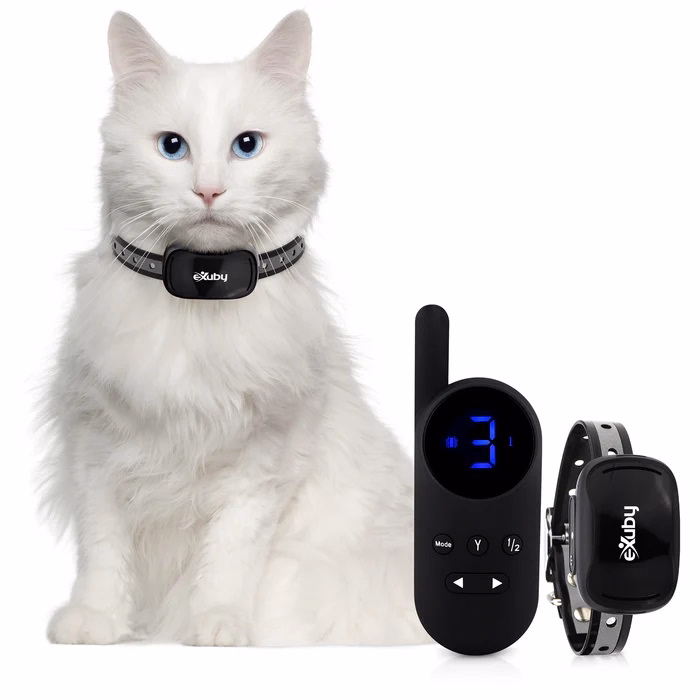 Alternative Training Methods for Cats