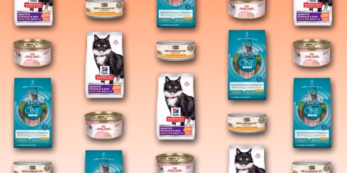 Best Cat Foods for Sensitive Stomachs Top Picks