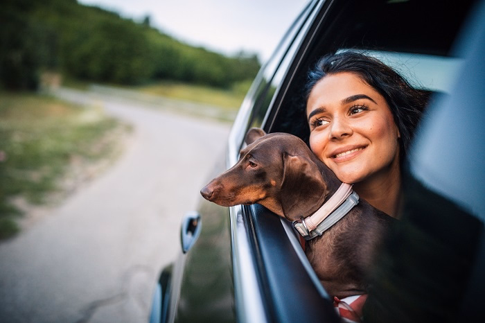 Dogs Are Better Travel Companions