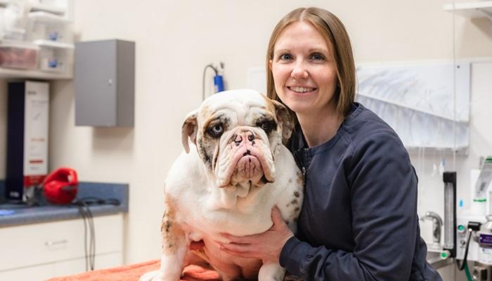 Full Services at Warm Hearts Pet Hospital