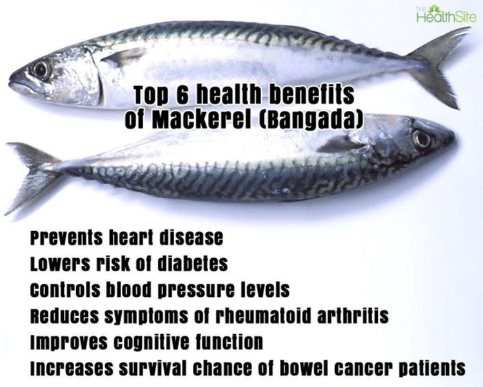 Health Benefits of Consuming Mackerel Fish Packs