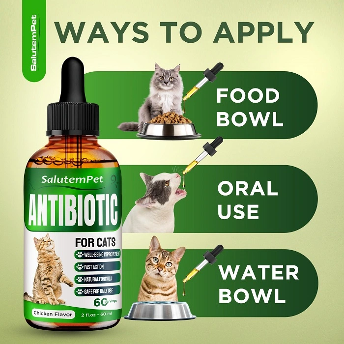 How to Safely Use Natural Antibiotics for Cats