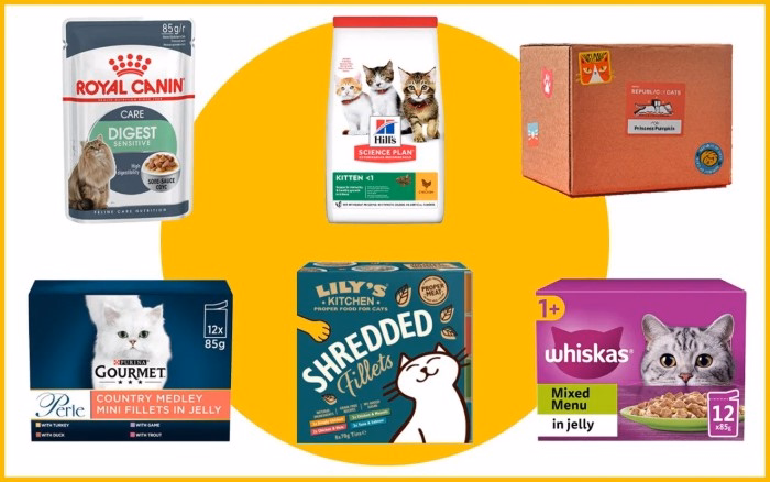 Popular Soft Dry Cat Food Brands