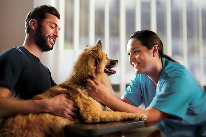 You are currently viewing Rockwell Pet Clinic: Your Dependable Pet Care Partner