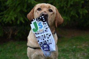 Read more about the article The Complete Guide to Pet Socks: A Chic and Useful Accessory for Your Fuzzy Friends