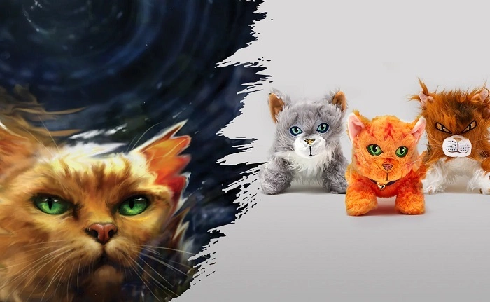 Understanding the Basics of Warrior Cats