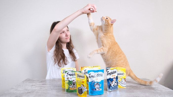 What Are Temptations Cat Treats