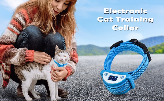 What is a Shock Collar for Cats