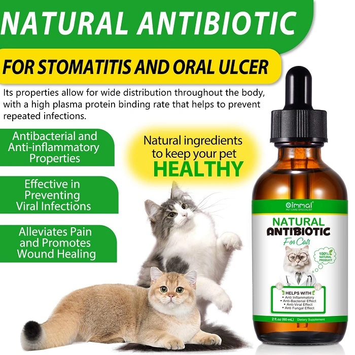 Why Consider Natural Antibiotics for Cats