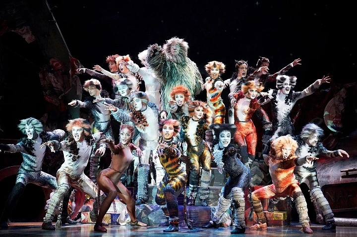 Read more about the article The Importance of Play in Cats: Understanding Their Fun and Healthy Activities