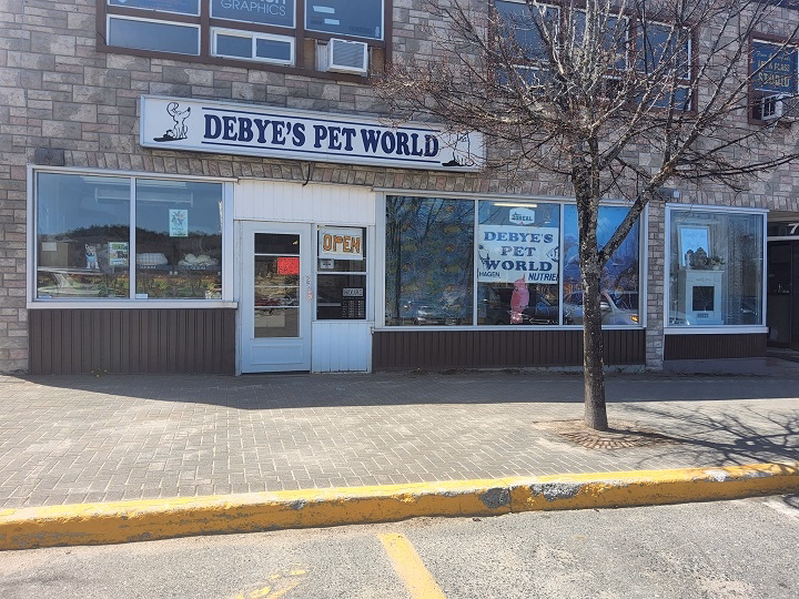 You are currently viewing All You Need to Know About Denny’s Pet World: An All-Inclusive Handbook