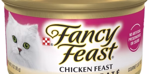 Read more about the article Fancy Feast Wet Cat Food: Gourmet Flavor Meets Complete Nutrition