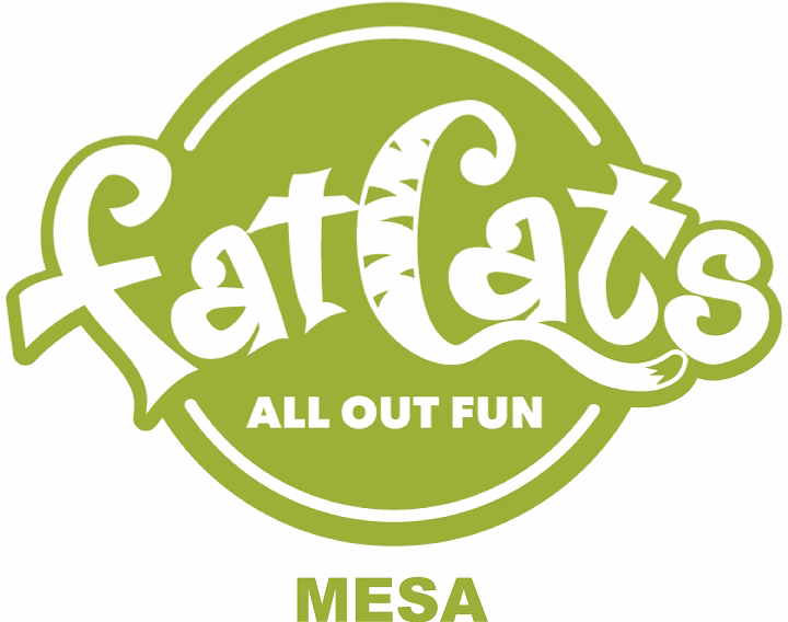 Read more about the article Finding the Enchantment of Fat Cats Mesa: A Pleasureful Travel Destination for Feline Enthusiasts