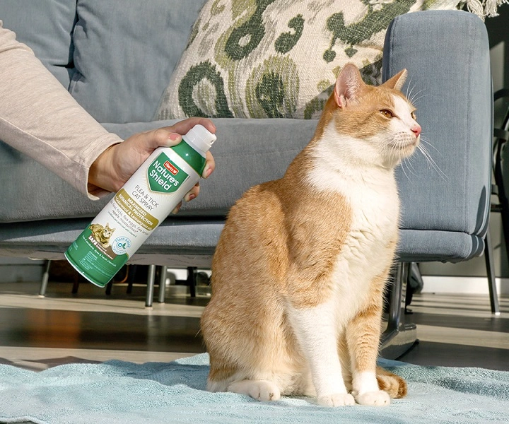 You are currently viewing Effective Flea Spray for Cats: How to Keep Your Feline Friend Flea-Free