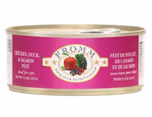 Read more about the article Fromm Cat Food: Premium Nutrition Crafted for Feline Wellness