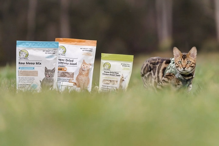 Read more about the article Are Cats Suited for Meow Mix? An All-Inclusive Guide