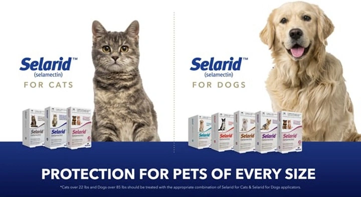You are currently viewing Selarid for Cats: An Essential Guide to Its Benefits and Usage