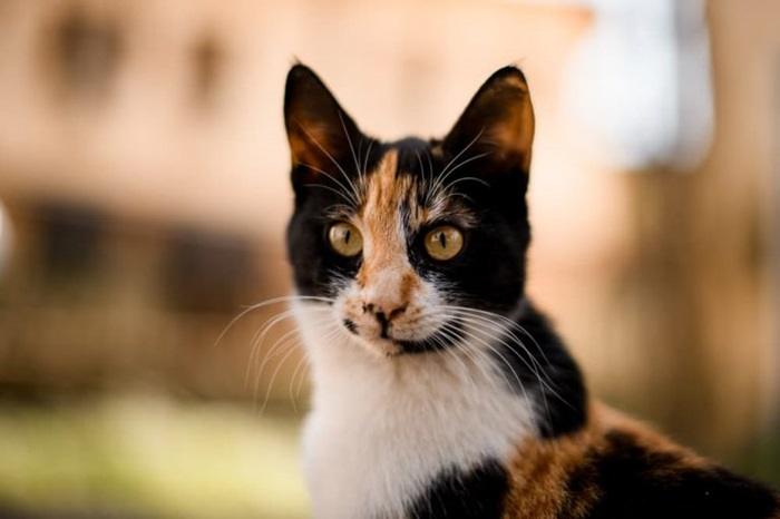 shutterstock 1963475569 1 768x512 1