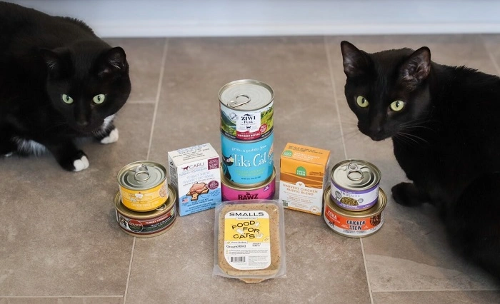 Best Wet Cat Foods for Sensitive Stomachs