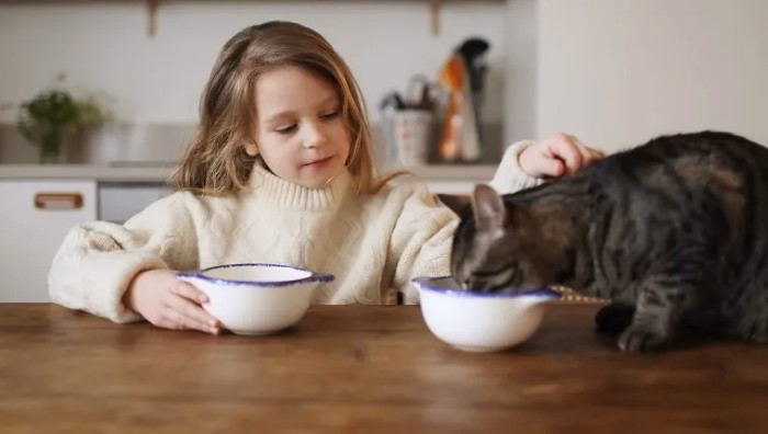 Can Kittens Eat Oatmeal