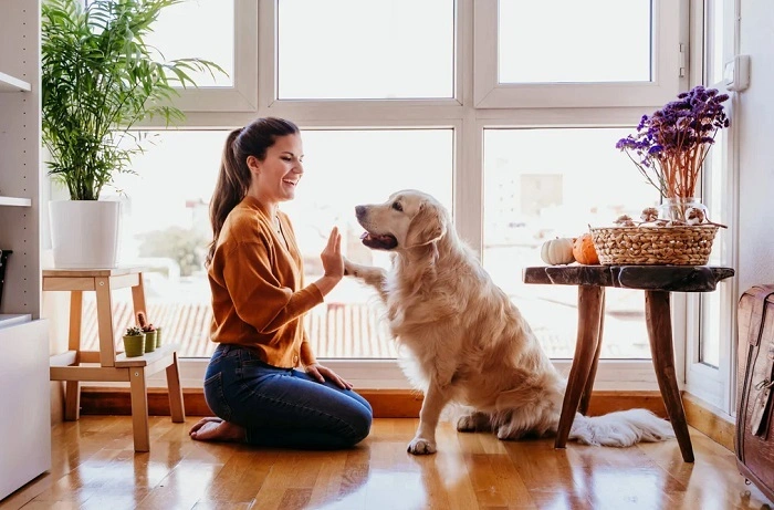 Dogs Offer Structure and Routine 1