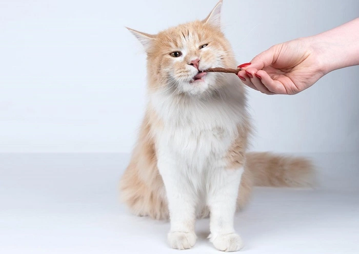 Healthier and Safer Alternatives to Beef Jerky 1