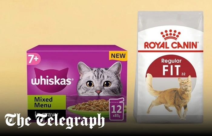 How to Choose the Right Urinary SO Cat Food 1