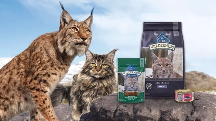 How to Transition Your Cat to Blue Buffalo Wet Food