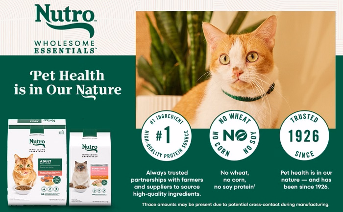 Nutro Cat Foodfgg