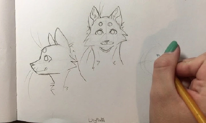 Outline the Fur and Body Shape 1