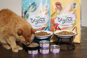 Read more about the article Beyond Cat Food: Natural, Nutrient-Rich Meals Backed by Purina