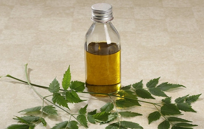 The Benefits of Neem Oil for Cats 1