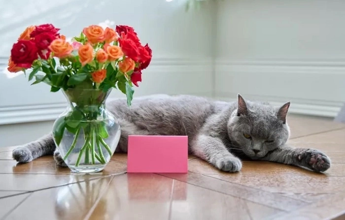 Tips for Cat Safe Flower Arrangements 1