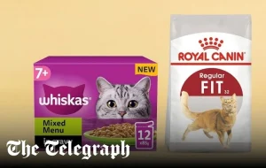 Read more about the article Vet-Recommended Wet Cat Food: A Comprehensive Guide to Choosing the Best for Your Cat’s Health