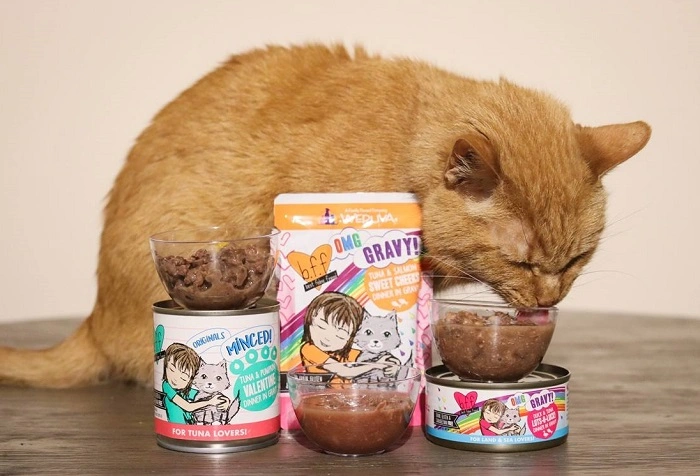What Is BFF Cat Food 1