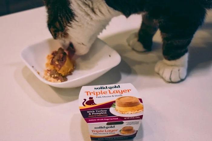What Is Solid Gold Cat Food