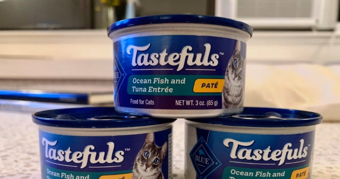 Why Choose Blue Buffalo Wet Cat Food