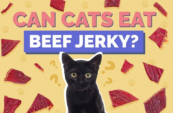 You are currently viewing Can Cats Eat Beef Jerky? Full Guide to Safety, Risks, and Better Alternatives