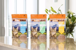 Read more about the article The Benefits of Feline Natural Cat Food: A Healthier Diet for Your Pet