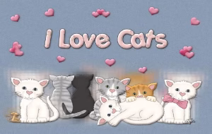 Read more about the article Why I Love Cats: The Irresistible Charm of Our Feline Companions