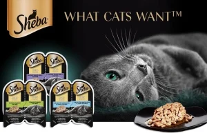 Read more about the article Is Sheba Good Cat Food? A Comprehensive Review